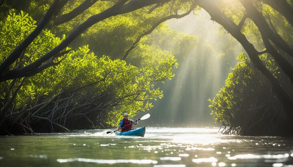 best kayaking spots in Florida